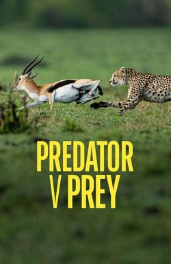 Predator v Prey