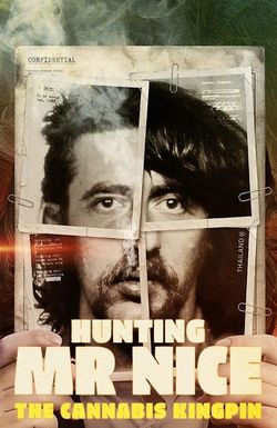 Hunting Mr Nice: The Cannabis Kingpin