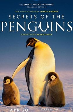 Secrets of the Penguins