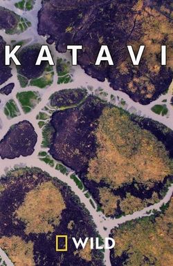 Katavi - Africa's Fallen Paradise