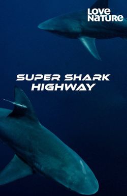 Super Shark Highway