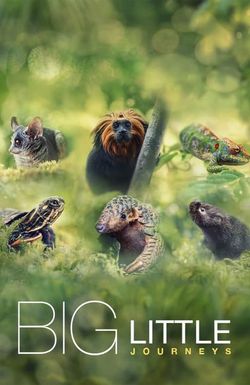Big Little Journeys