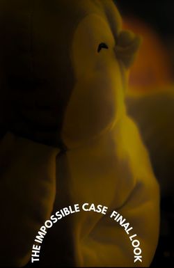 The Impossible Case: Final Look