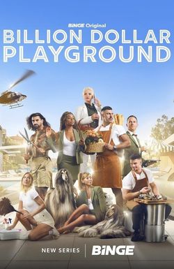 Billion Dollar Playground
