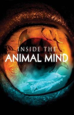 Inside the Animal Mind