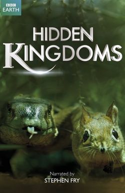 Hidden Kingdoms