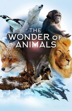 The Wonder of Animals