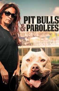 Pit Bulls and Parolees