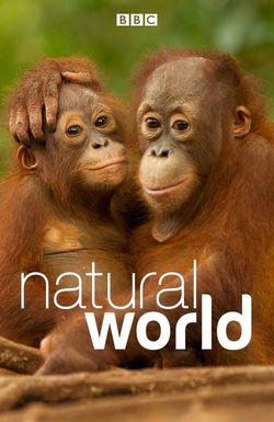 Natural World