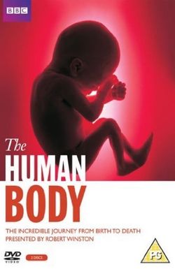 The Human Body