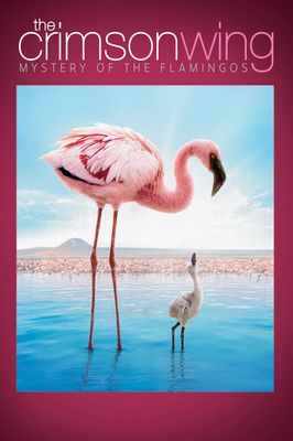 The Crimson Wing: Mystery of the Flamingos