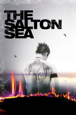 The Salton Sea