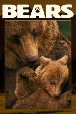 Bears