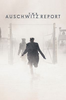 The Auschwitz Report