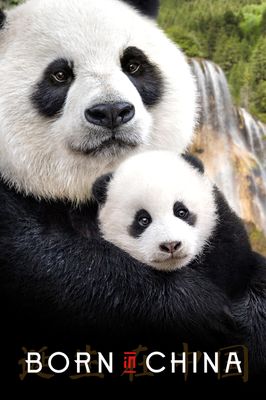 Born in China