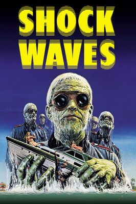 Shock Waves