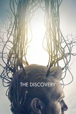 The Discovery