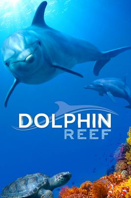 Dolphin Reef