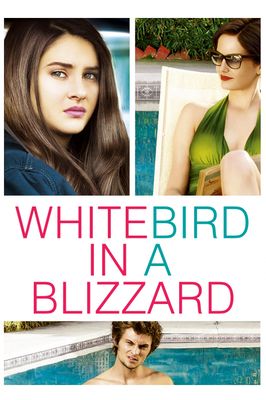 White Bird in a Blizzard
