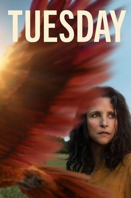 Tuesday
