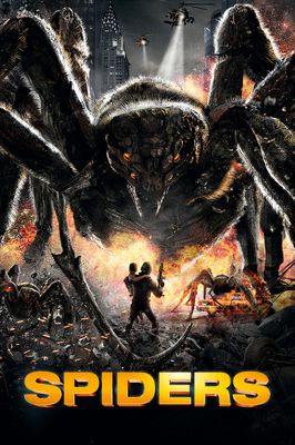 Spiders