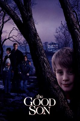 The Good Son