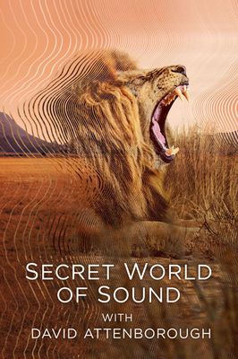 Secret World of Sound with David Attenborough