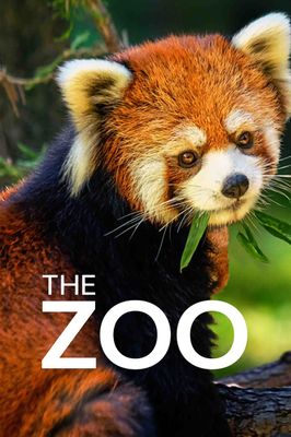 The Zoo