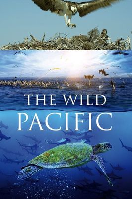 The Wild Pacific