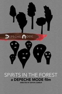 Spirits in the Forest