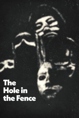 The Hole in the Fence