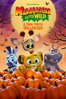 Madagascar: A Little Wild