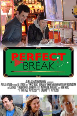 Perfect Break