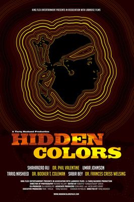Hidden Colors