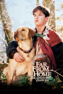 Far from Home: The Adventures of Yellow Dog