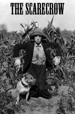 The Scarecrow