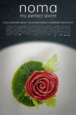 Noma: My Perfect Storm