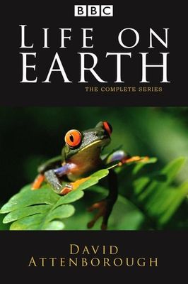 Life on Earth