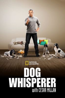 Dog Whisperer with Cesar Millan