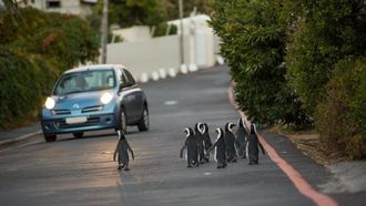 Episode 2 Commuters