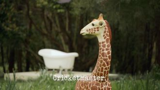 Episode 3 Cricketmaster