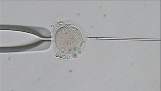 Episode 8 Fighting for Fertility