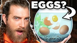 Episode 27 Leaving Things In A Fish Tank For A Month