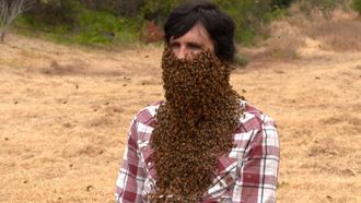 Episode 105 10,000 Bees Beard