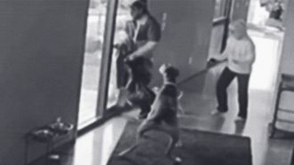 Episode 11 Watch Dogs