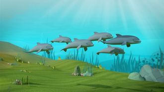 Episode 24 Octonauts and the Spinner Dolphins