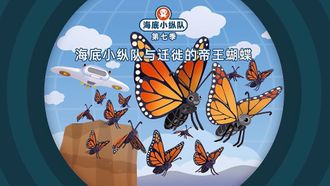 Episode 10 