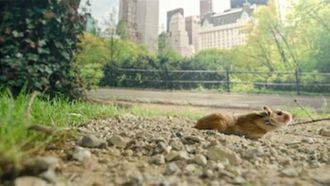 Episode 2 New York