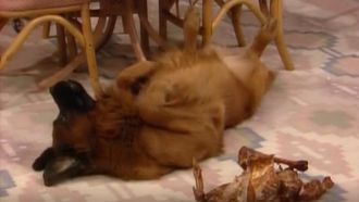 Episode 10 Thanksgiving at the Westons