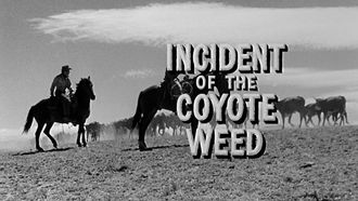 Episode 11 Incident of the Coyote Weed